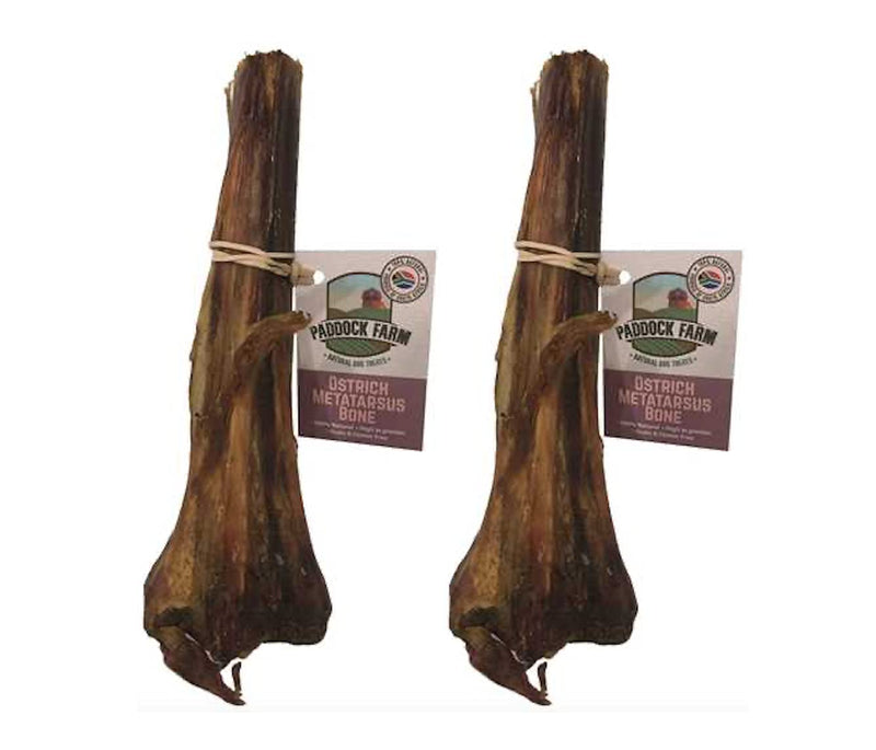 Ostrich Metatarsus Bones Dog Chew Pack of 2 - PawsPlanet Australia