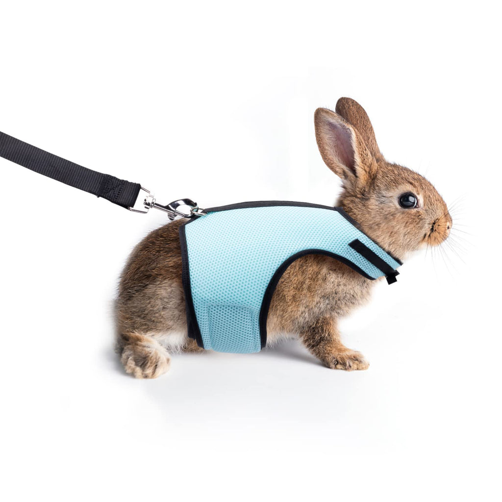 Nobleza - Rabbit Harness with Leash, Adjustable Bunny Comfortable Mesh Vest Harness and Leash Set for Small Animals Hamsters Cats Walking, M Chest Girth 18-25cm Blue - PawsPlanet Australia