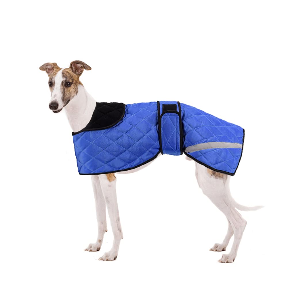 Greyhound Winter Coat, Dog Jacket Waterproof, Whippet Coat Dog Raincoat, Waterproof Dog Coats, Dog Jumper Jacket for Medium, Large Lurcher Salukis Greyhound Dog in the Rainy Season or Winter - Blue XS - PawsPlanet Australia