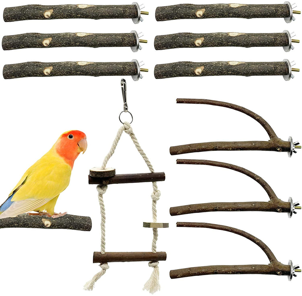 GIONAR Bird Parrot Perch Stand Sets Small Bird Parakeet Stand Toys, Natural Wood Fork Perch Rod Stand Bird Cage Accessories for Pet Budgies Cockatiels Conure Lovebirds 10 PCS 10pcs - PawsPlanet Australia