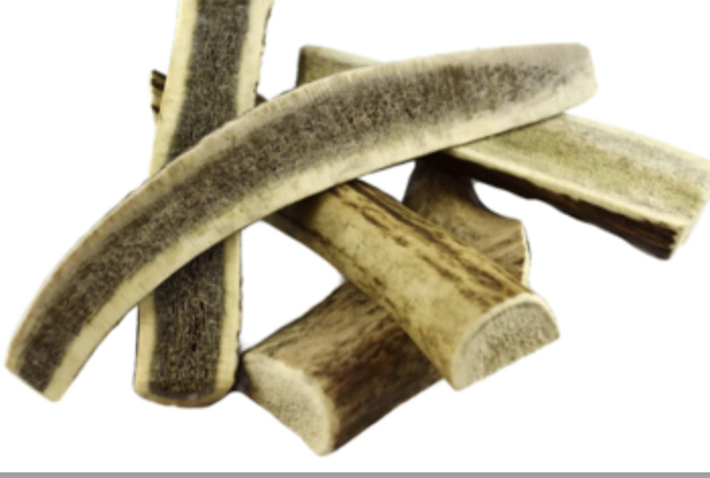 Antler Small Split (25-37g) x 3 Premium Quality Natural Dog Chew Treat Sold by Maltbys' Stores 1904 Limited Antlers - PawsPlanet Australia
