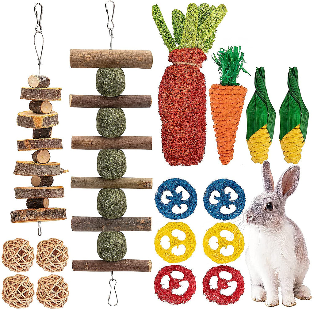 16 PCS Rabbit Toys Bunny Chew for Teeth, Hamster Dental Health 100% Natural Apple Wood Grass Ball String Pet Cage Entertainment Accessories Chinchilla, Guinea Pig, Hamster Degus, Squirrels 16pcs - PawsPlanet Australia