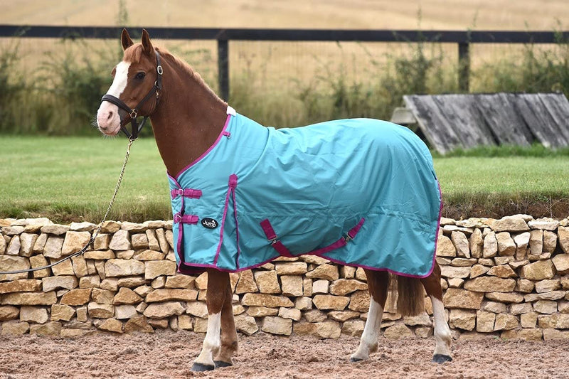 JUMP EQUESTRIAN 50G FILL HORSE TURNOUT RUG LIGHTWEIGHT STANDARD NECK HORSE RUG WATERPROOF (5'6'', TEAL) 5'6'' - PawsPlanet Australia