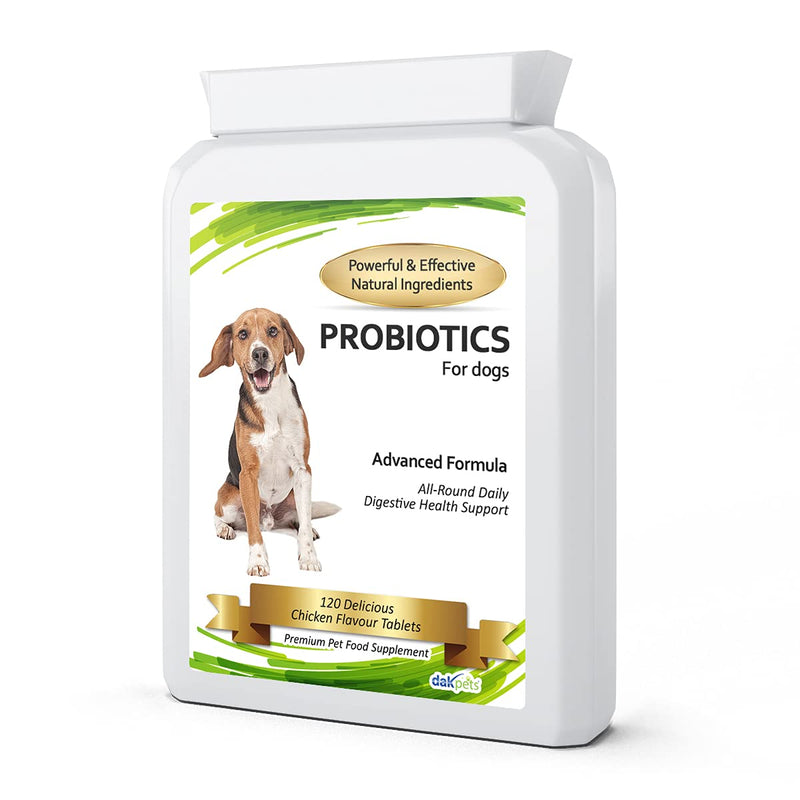 DakPets Probiotics for Dogs | Cat and Dog Probiotics for Bad Breath, Wind, Diarrhoea and More | Natural Itch Relief for Dogs and Dog Yeast Infection Treatment | UK-Made Dog Supplements - PawsPlanet Australia