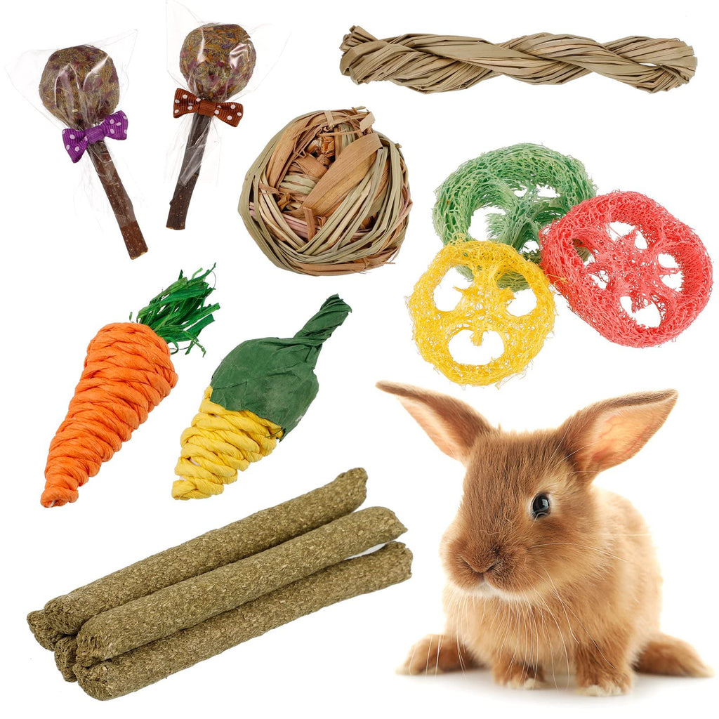 AKlamater 14Pcs Rabbit Chew Toys, Natural Hay Sticks for Rabbits, Loofah Apple Wood Grass Ball String for Rabbits Guinea Pig Hamsters Chinchilla - PawsPlanet Australia
