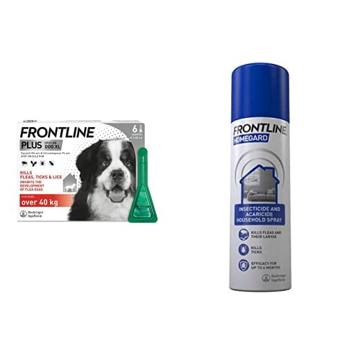 FRONTLINE Plus Flea & Tick Treatment for Extra Large Dogs (over 40 kg) - 6 Pipettes & HomeGard Flea & Tick Household Spray - 500 ml Plus + HomeGard Household Spray - PawsPlanet Australia