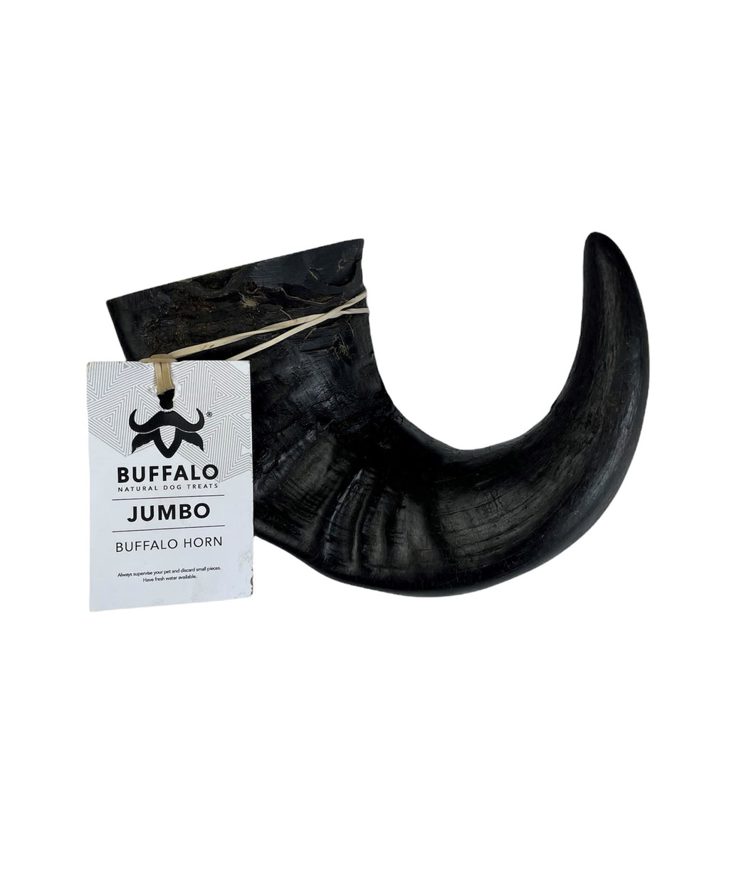 KLASSY K9 BUFFALO HORN JUMBO NATURAL DOG CHEW - PawsPlanet Australia