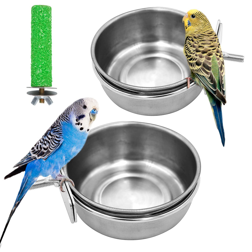 2 Pcs Bird Feeding Dish Cups Set, Stainless Steel Fixed Feeding Bowl Parrot Feeding Cups Bird Cage Cup Food Bowl with Clamp Holder and Bird Stand Toy for Parakeet Conure Cockatiels Lovebird Budgie 2+1 Pcs - PawsPlanet Australia