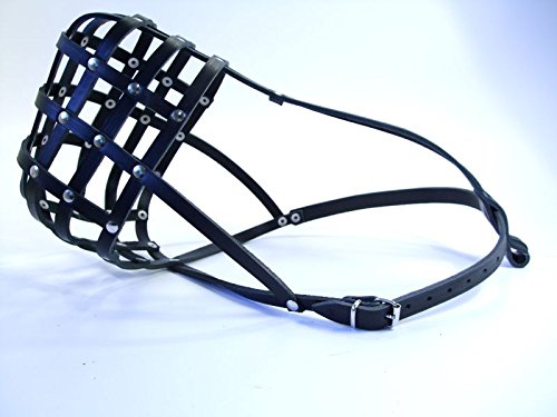 Light Genuine leather Dog Muzzle for Rottweiler ,Mastiff and other similar snout (Black Leather, M) Black Leather - PawsPlanet Australia