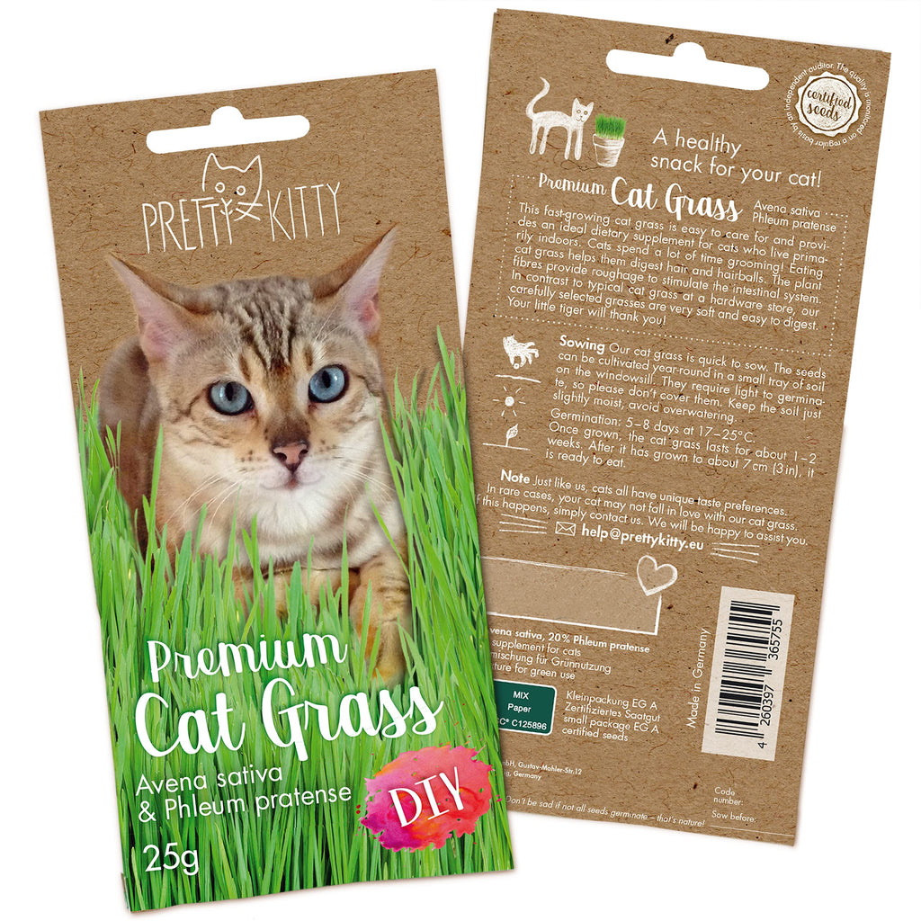 Premium Cat Grass Seeds for Planting: 1x 25g Plant Seeds for 10 pots natural Cat Treat  Fibre Supplement for Cats  Cat Grass Seed Fast Growing  Grass for Cats, Cat Plant  Cats Grass by PrettyKitty 25 g (Pack of 1) - PawsPlanet Australia