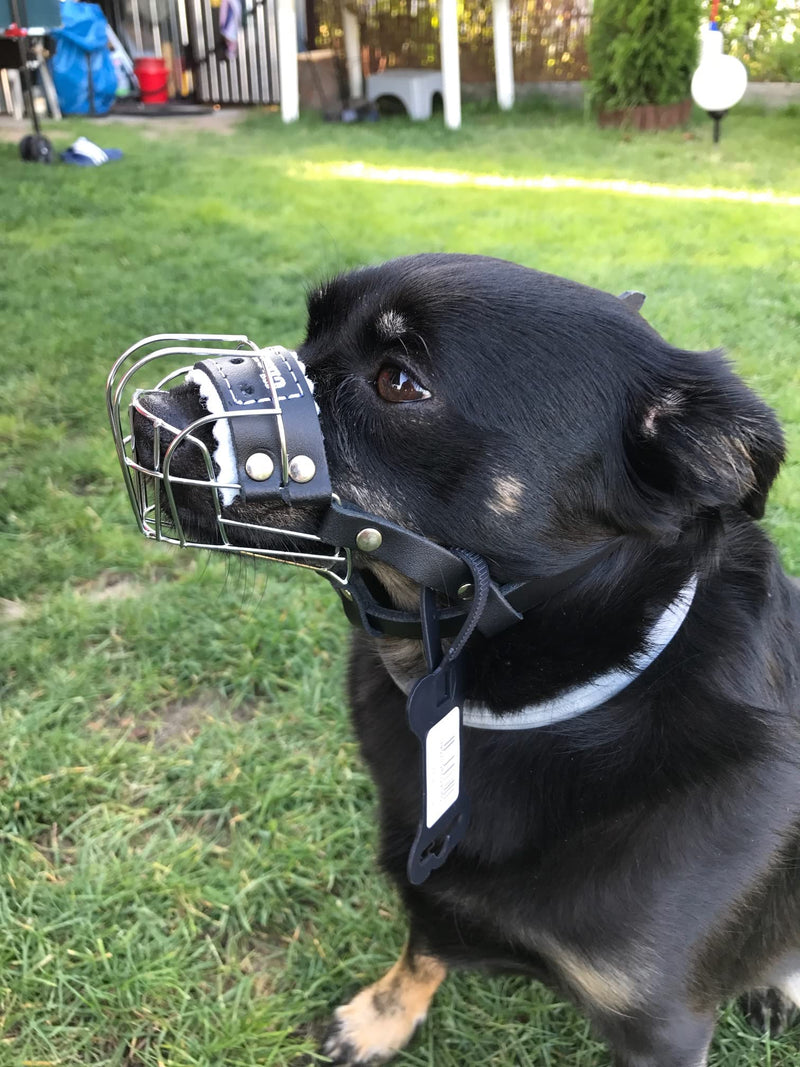 L&J Pets Uk New Wire Basket Dog Muzzle STRONG Metal for Rattler Yorkshire Terrier & other small dogs (Silver Basket / Black Leather, 0), (MK York) Silver Basket / Black Leather - PawsPlanet Australia