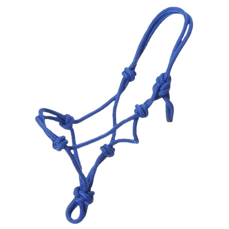 Horse/Cob/Pony Rope Halter Adjustable Knotted Royal Blue - PawsPlanet Australia