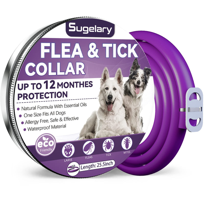 Sugelary Flea and Tick Collar for Dogs, 12 Months Protection Flea Treatment for Dogs Natural Adjustable Waterproof Dog Flea Collar Flea Treatment Collar for Small, Medium and Large Dogs (1Pack) Essential oil-1 - PawsPlanet Australia