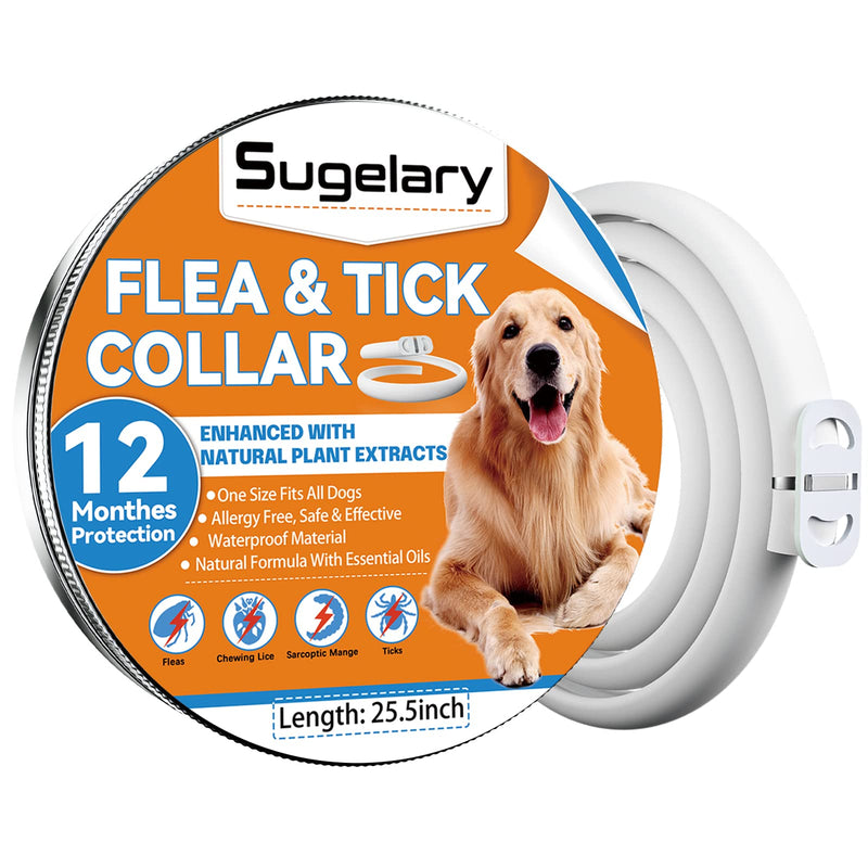 Flea and Tick Collar for Dogs, Adjustable Flea Treatment for Dogs, 12 Months Protection Enhanced with Natural Essential Oils, Hypoallergenic Flea Collar Dogs for Small, Medium, Large Puppy(1PCS) 1pack - PawsPlanet Australia