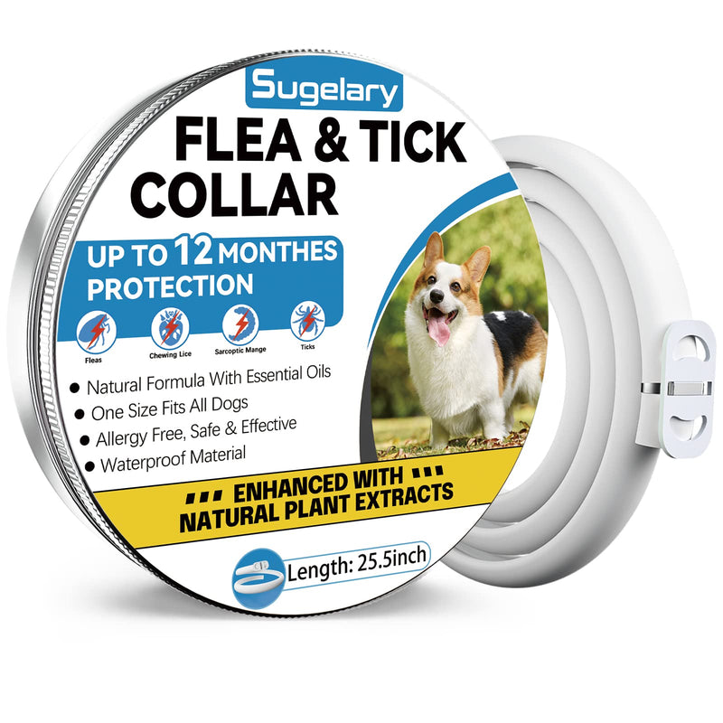 Sugelary Flea and Tick Collar for Dogs 12 Months Natural Flea Treatment for Dogs Waterproof Adjustable Luminous Safety Dog Collars(1 pack) 1pack - PawsPlanet Australia