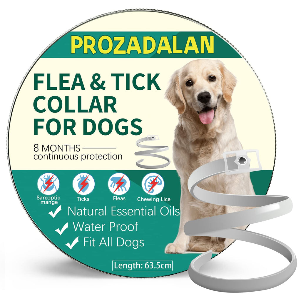 Flea and Tick Collar for Dogs, 63.5cm Adjustable and Waterproof Flea Collar for dogs, 8 Months Valid Flea Collar with Tick Control, Suitable Small Medium and large dogs (UK-1p) UK-1p - PawsPlanet Australia