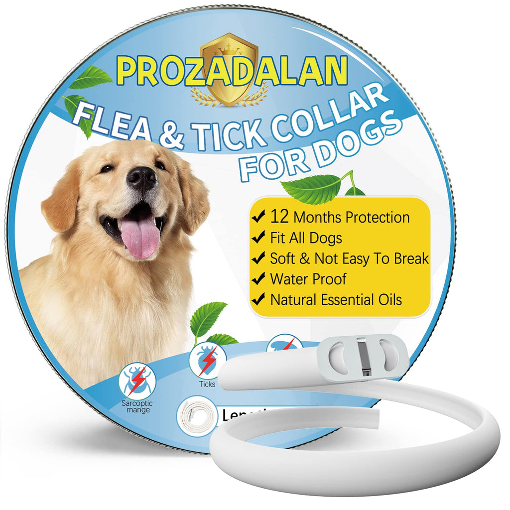 Flea and Tick Collar for Dogs, 65cm Adjustable and Waterproof Flea Collar for dogs, 12 Months Valid Flea Collar with Tick Control, Suitable Small Medium and large dogs (UK-1PC) UK-1PC - PawsPlanet Australia