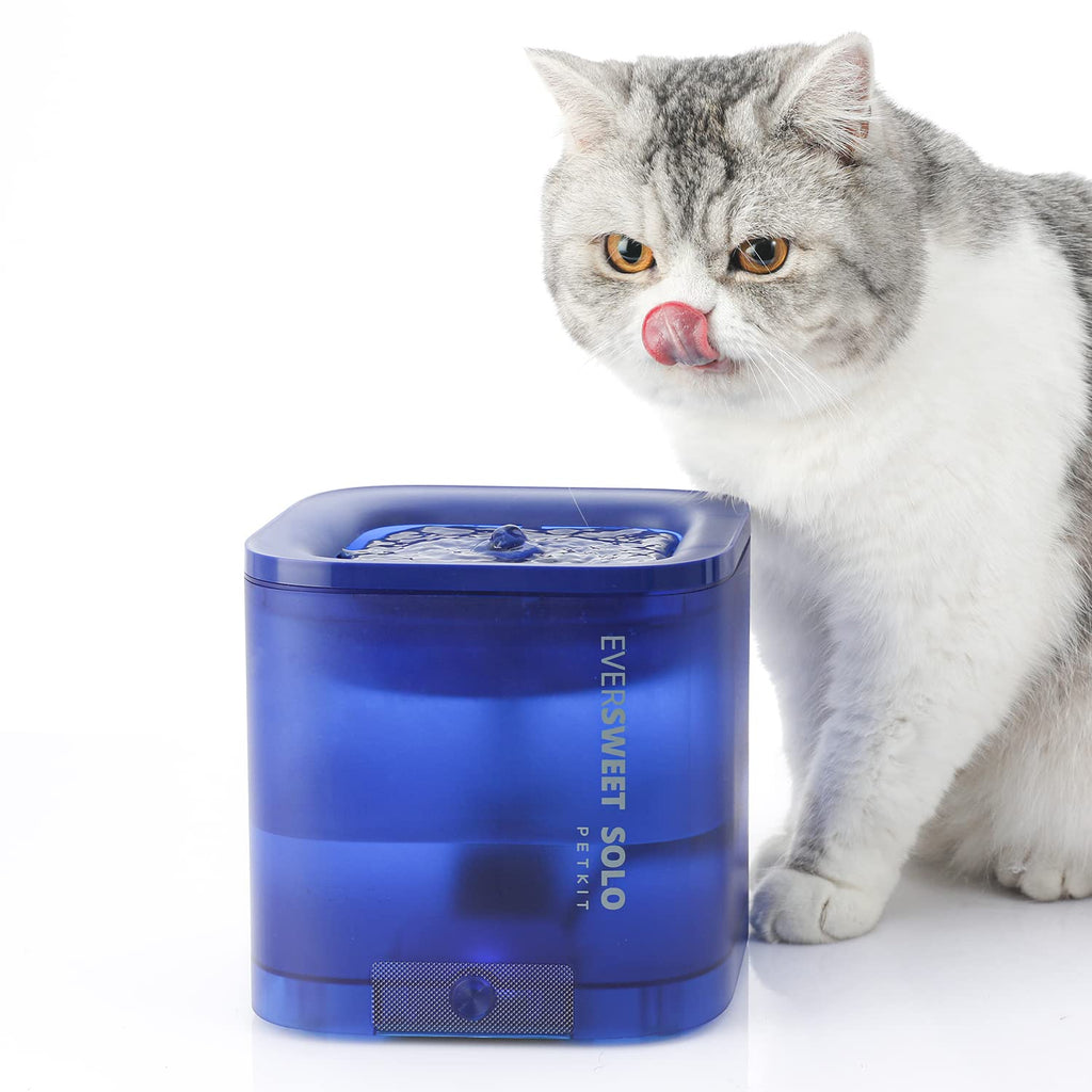 PETKIT Pet Water Fountain, 1.85L Automatic Dog Cat Water Fountain, Ultra Quiet, Dual Working Mode, LED Indicator for Water Shortage and Filter Replacement, Hygienic Auto Power-Off Cat Water Dispenser Blue - PawsPlanet Australia