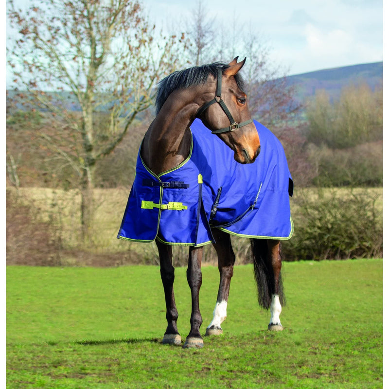 Asker 0g Horse Lightweight Standard Neck Turnout Rug - Navy Blue 4ft 6in - PawsPlanet Australia