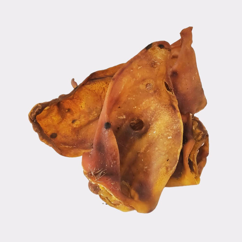 Pigs Ears net of 50 Large British Pigs ears, Natural dog chew treat - PawsPlanet Australia