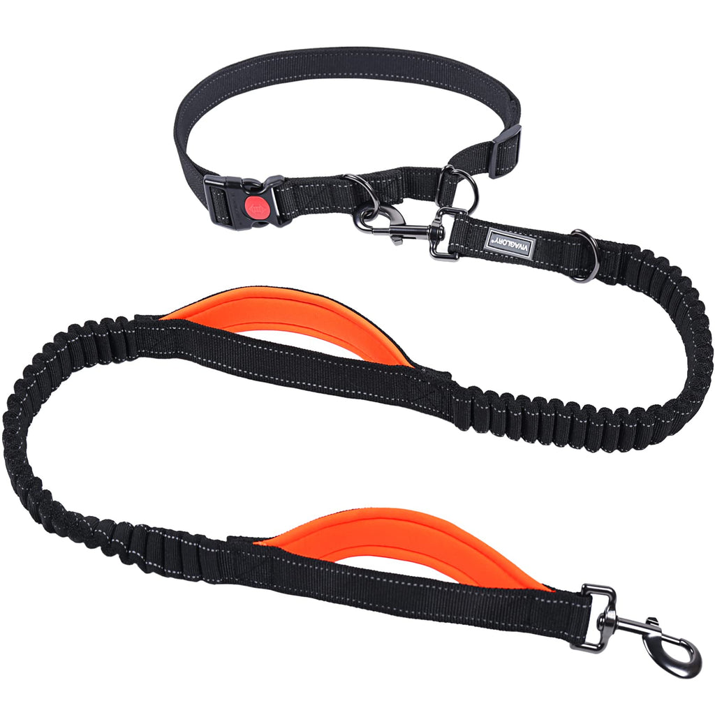 VIVAGLORY Hands Free Dog Lead with Double Upgraded Anti-Shock Bungees and Padded Handles, Reflective Waist Running Lead with Adjustable Belt for Training Jogging for Medium Large Dogs Fits waist from 65-110cm Black/Orange - PawsPlanet Australia