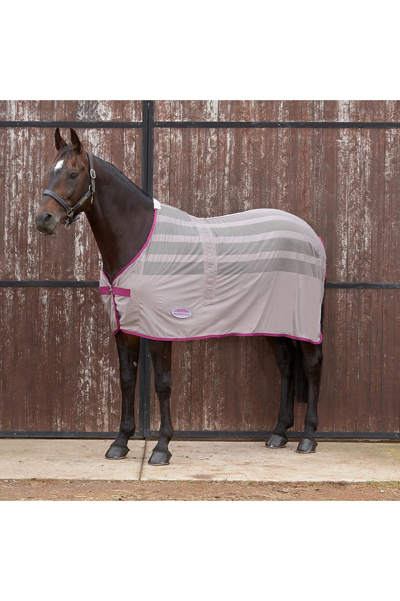 Weatherbeeta Scrim Cooler Standard Neck - Dark Grey/Orchid 5ft 6in - PawsPlanet Australia