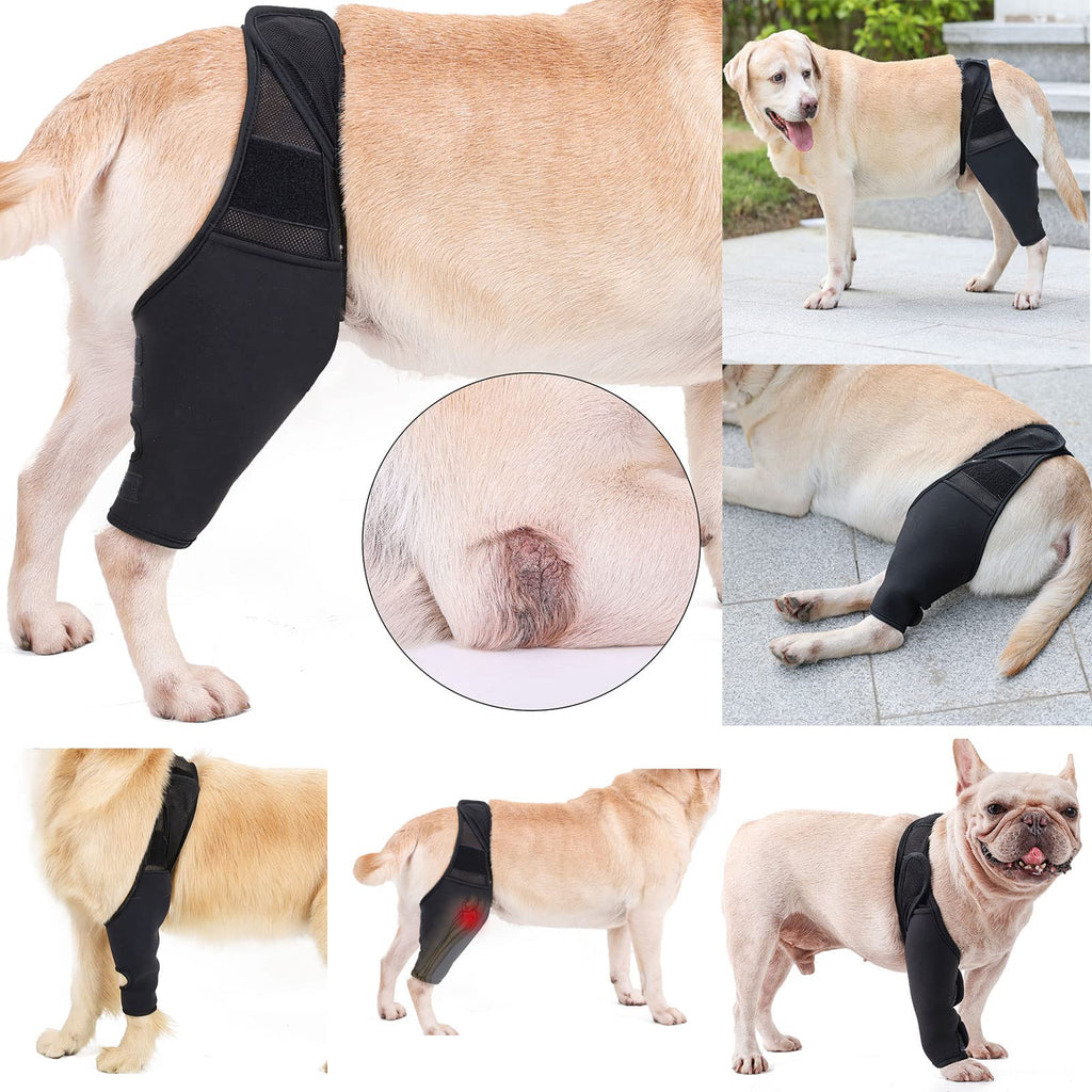 Komate Pet Dog Leg Support Brace Canine Front Back Hind Leg Wrap Elbow Brace Protector Dog Knee Hock Joint Leg Sleeve Recovery Sleeve Protection Loss of Stability Arthritis Relieve Pain Black (XS) XS - PawsPlanet Australia