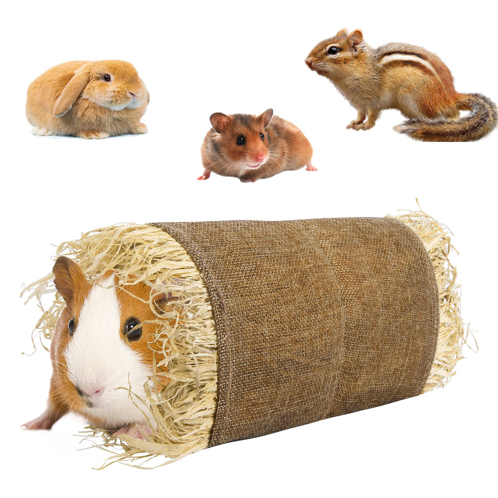 Guinea Pig Grass Tunnel Toy Nature Hideaway Tunnels and Tubes Toys for Small Rabbits Rats Syrian Hamster Ferrets Guinea Pig Chinchilla Hedgehog M - PawsPlanet Australia