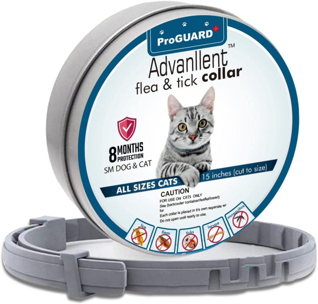 Advanllent Flea Collar for Cats, Flea and Tick Collar for Cats and Kitten, One Size Fits All, 15.5 inch, 8 Month Protection, 1 Pack - PawsPlanet Australia