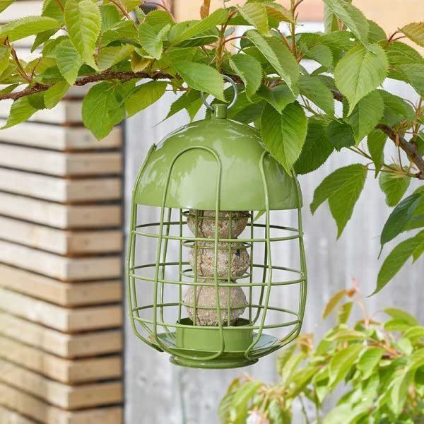 Acorn Squirrel Guard Proof Suet Fat Ball Bird Feeder Feeding Station Heavy Duty Foglish - PawsPlanet Australia