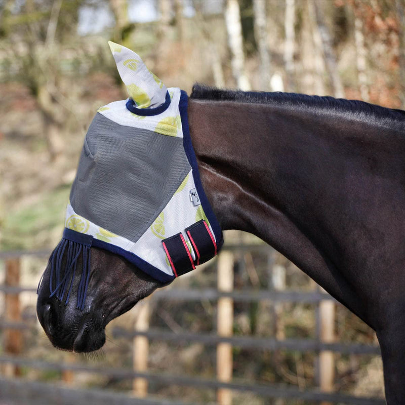 Masta Horse Fly Mask with Ears & Nose Fringe Lemon | Equestrian Midge Protection Repellent Hood | Cob Full Pony Extra-Full Small Pony - PawsPlanet Australia