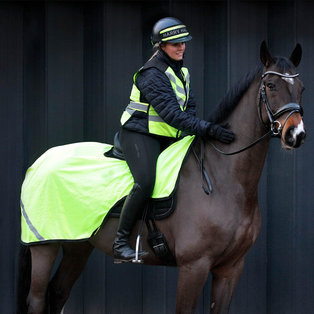Masta High Viz Mesh Wrap Around Horse Exercise Sheet Full Yellow - PawsPlanet Australia