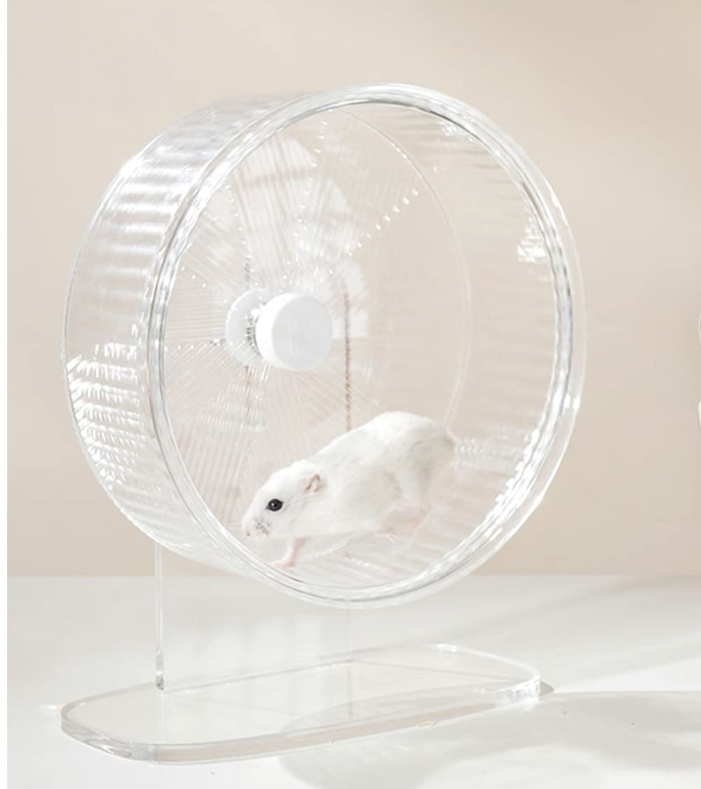 Super Silent Hamster Wheel Hamster Accessories Hamster Running Toys Small Animals Exercise Wheels (Transparent) - PawsPlanet Australia