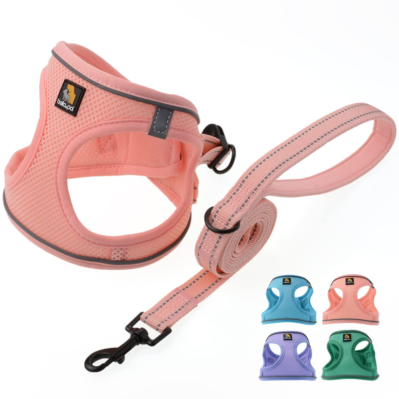 BELLA & PAL Dog Harness with Leash Set, Step in Vest Harness for Small and Medium Dogs, No Pull Harness for Puppy Dogs Medium Dogs, Air Mesh Dog Vest Harness, Pink, XS Coral Pink - PawsPlanet Australia