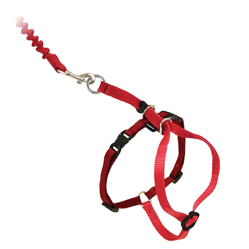 PetSafe Easy Walk Cat Harness with Bungee Lead, Comfortable Control with Adjustable Fit, Includes Stretchy Bungee Section, Small-Red Red - PawsPlanet Australia