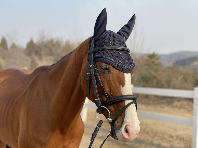 TGW RIDING Horse Ear Bonnet/Net/Hat/Horse Hood/Mask Horse Veil Horse Ear Bonnet (Full, Black) Full - PawsPlanet Australia