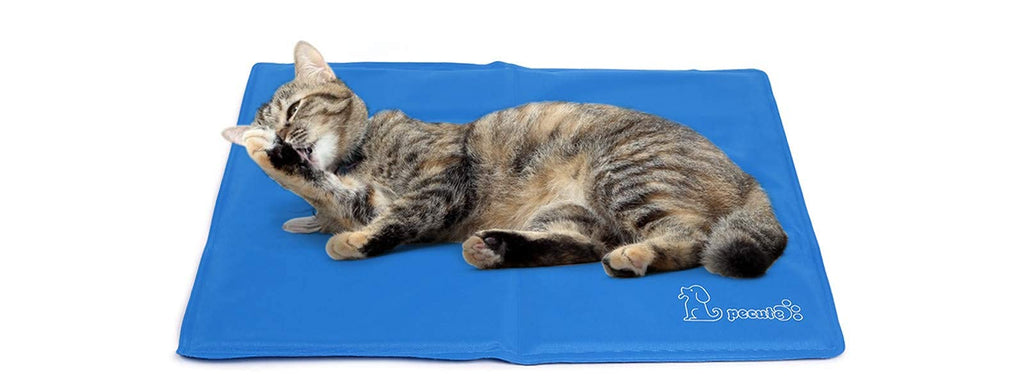 pecute Dog Cooling Mat, Durable Pet Cool Mat Non-Toxic Gel Self Cooling Pad, Great for Dogs Cats in Hot Summer (XS, Blue) XS (40*30 cm) - PawsPlanet Australia