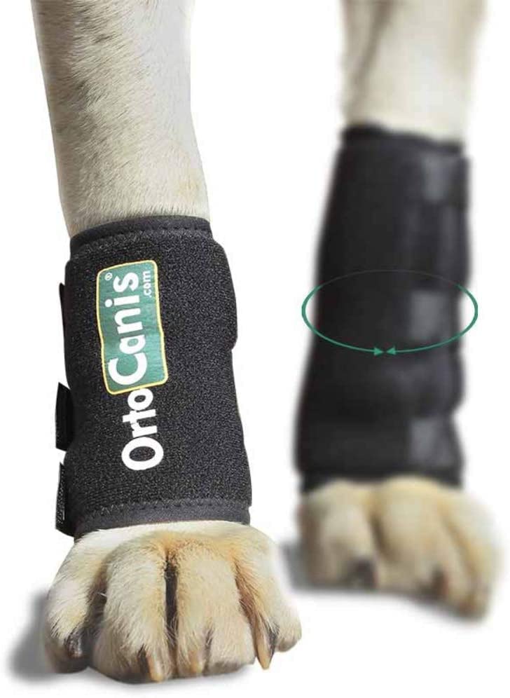 Ortocanis Original Carpal wrap for Dogs with Arthritis, Injuries in The Front Leg - Canine Wrist Brace Keeps The Joint Warm, Reduces Pain and Inflammation (XX-Small) XX-Small - PawsPlanet Australia