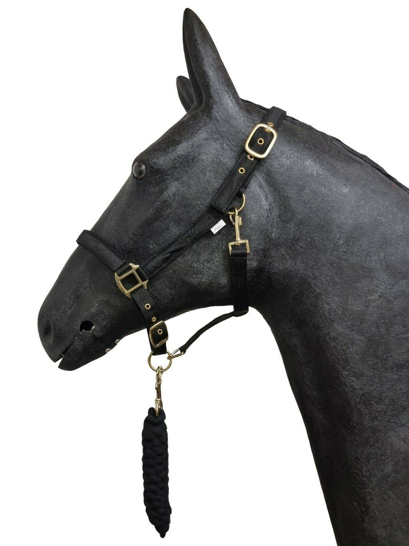 Horse Padded Headcollar Lead Rope - Comfortable Stylish Horse Printed Halter with Detachable Leadrope - Stable Yard Equipment for Pony Cob Full and Shetland Cob Plain Black - PawsPlanet Australia